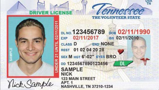 Drivers license images